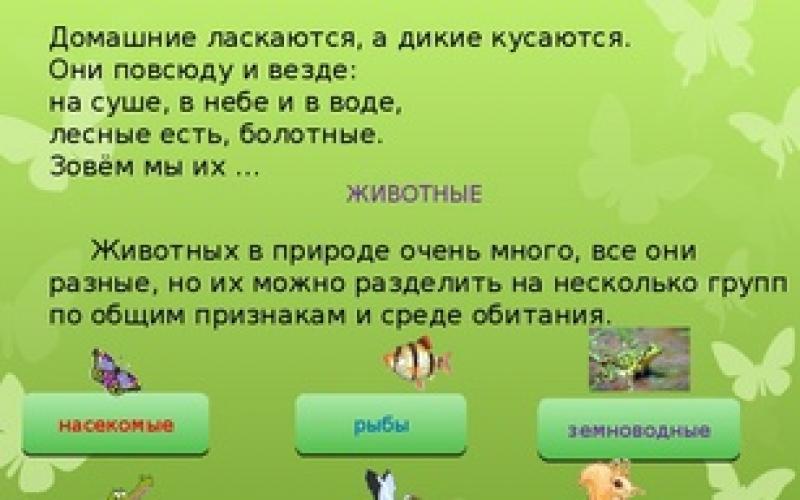 Типы развития насекомых, интересное Что вылупляется из яиц насекомых