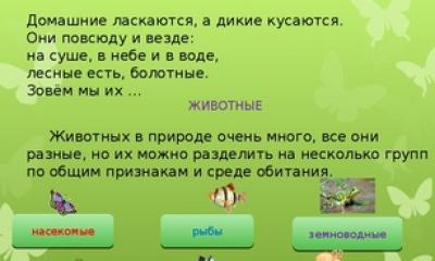 Типы развития насекомых, интересное Что вылупляется из яиц насекомых